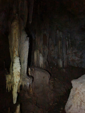 Springfield Cave, Springfield